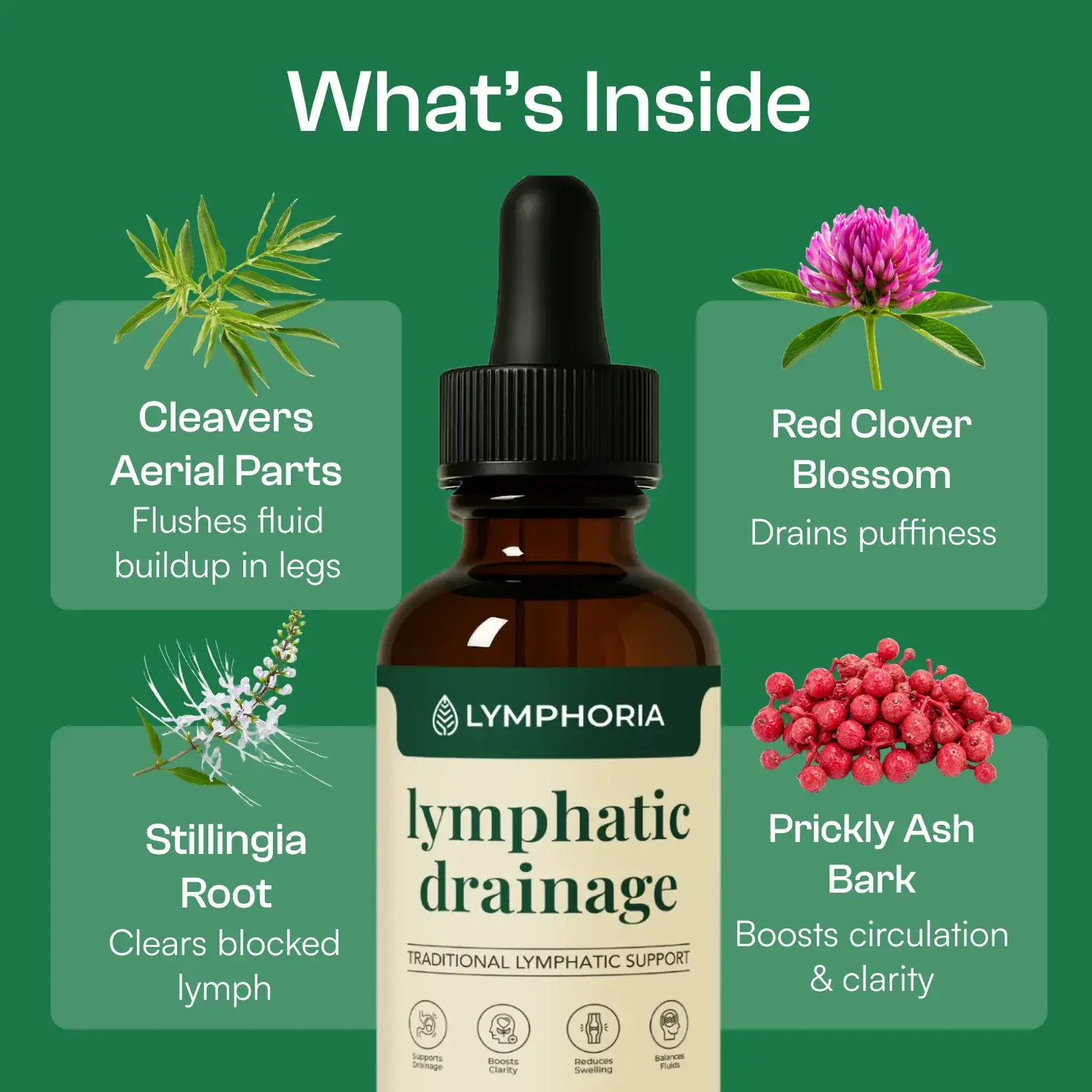 Linfaflow Wellness Drops